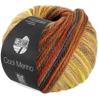 Lana Grossa - Cool Merino Color